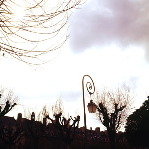 place royale (des vosges)